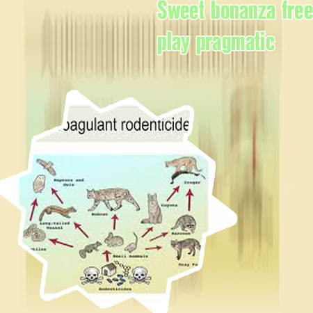 Pragmatic sweet bonanza